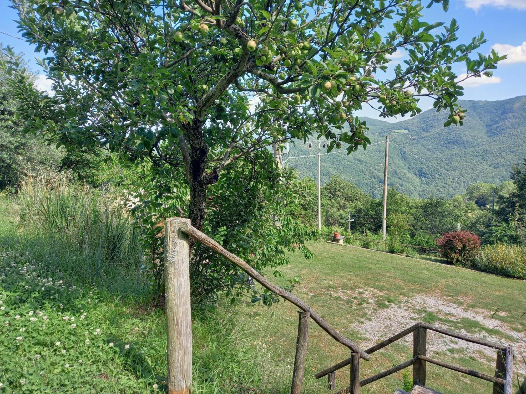 Valle Dame Cortona Exterior photo